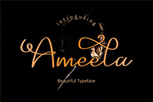 Ameela: A Real-World Designer Review