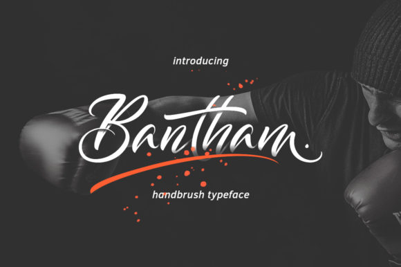 Bantham: A Relaxed Handwritten Font for Campaigns