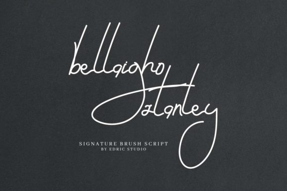 Bellaigho Stanley: A Premium Handwritten Font for Business