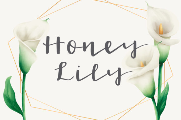 Honey Lily: A Designer's Real-World Review