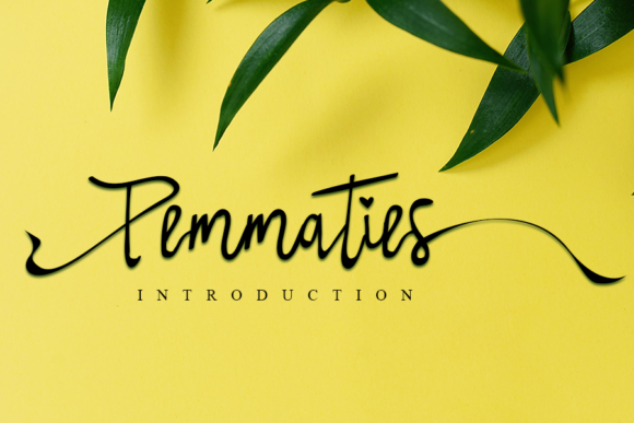 Pemmaties: A Handwritten Font for Campaigns