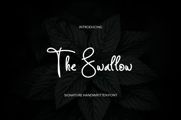 The Swallow: A Handwritten Font for Editorial Design